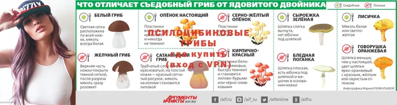 Галлюциногенные грибы GOLDEN TEACHER  Аткарск 